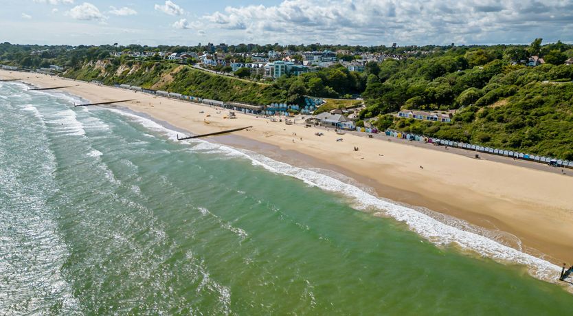 Photo of Blue-Flag Bliss