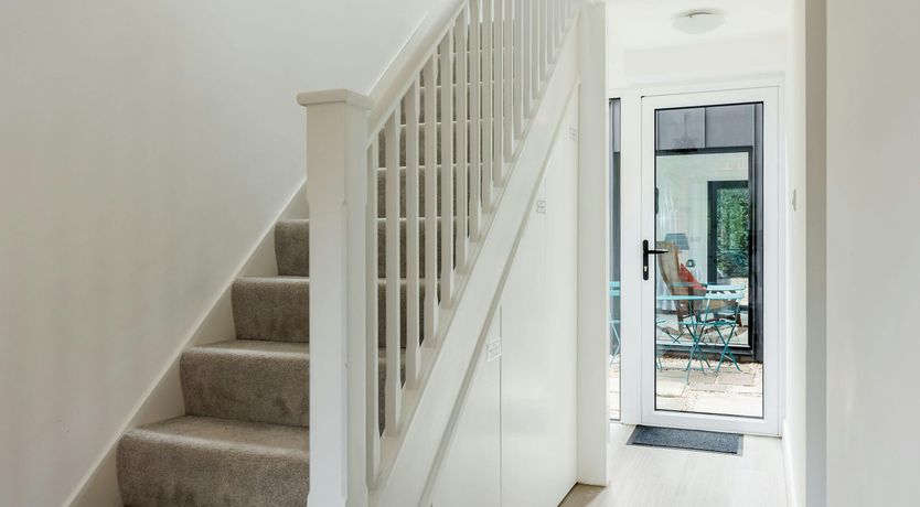 Photo of Blue-Flag Bliss