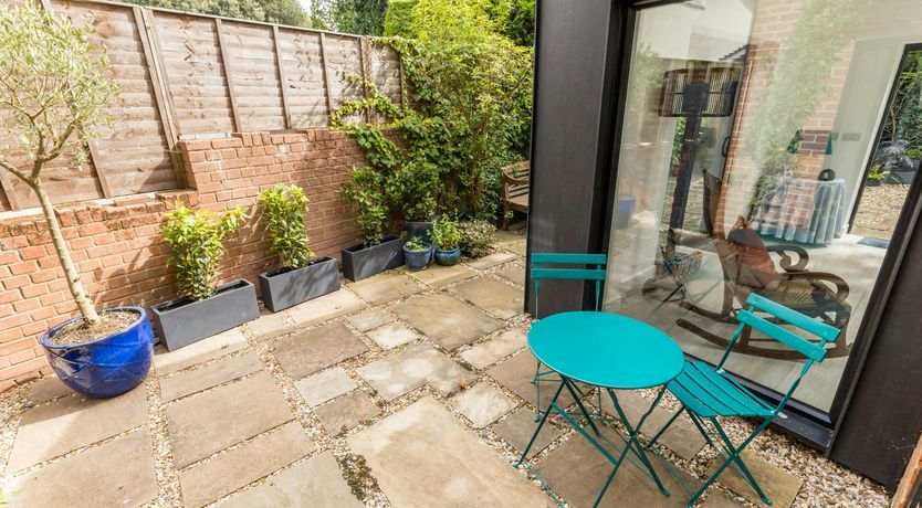 Photo of Blue-Flag Bliss