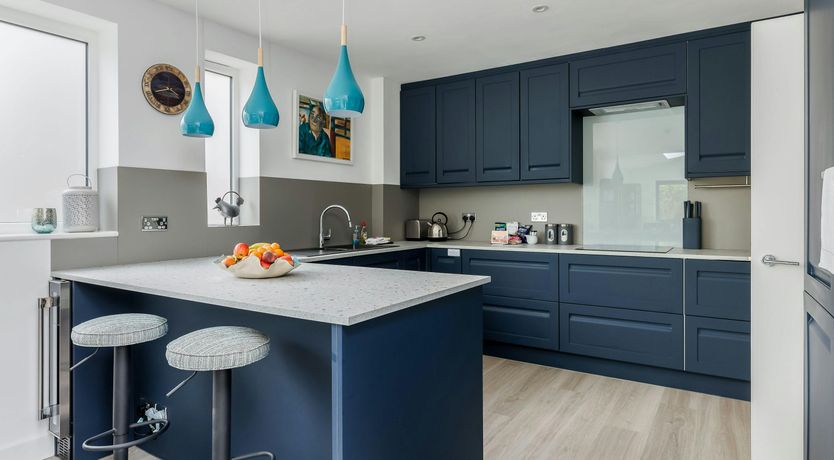 Photo of Blue-Flag Bliss