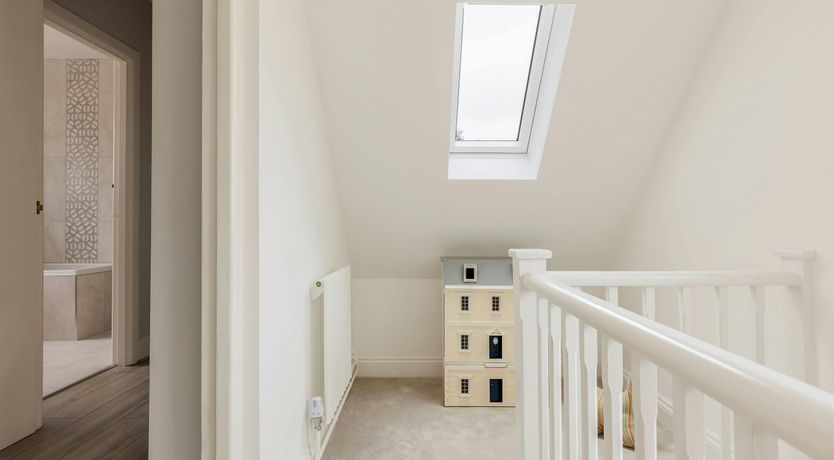 Photo of Blue-Flag Bliss