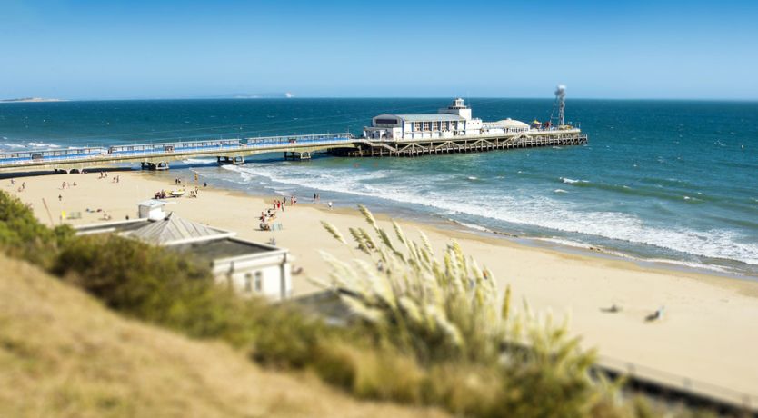 Photo of Sophisticated & Modern