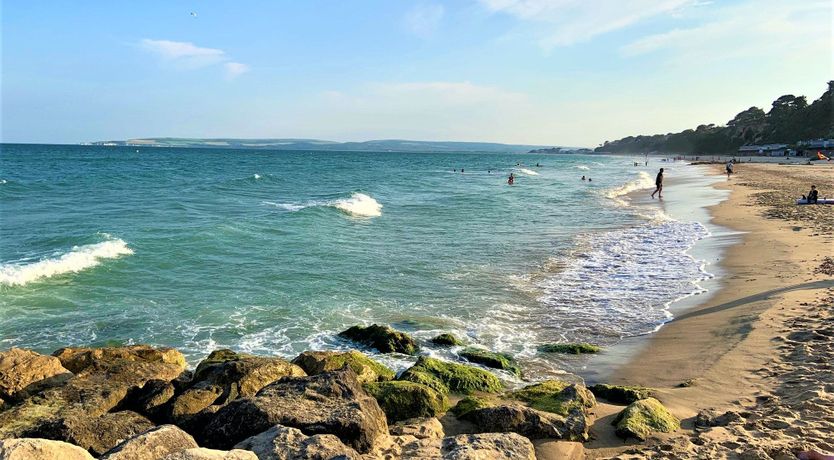 Photo of Sophisticated & Modern