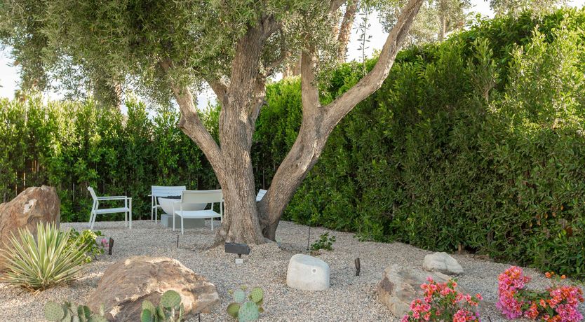 Photo of The Tennis Players