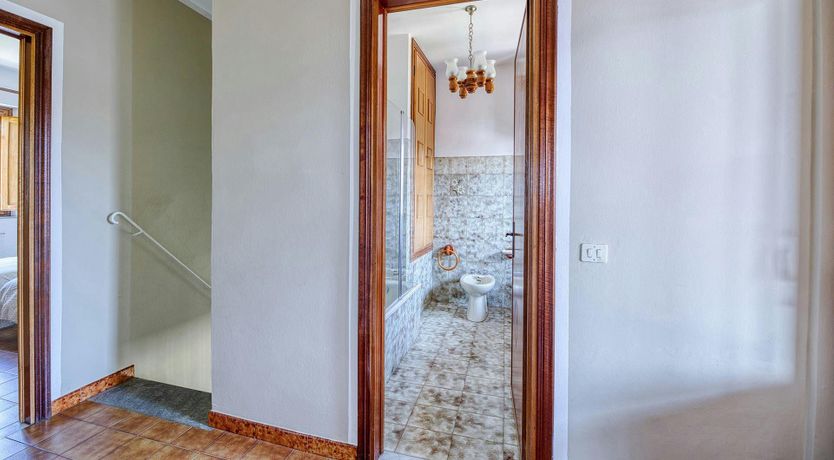 Photo of Chestnut Woods