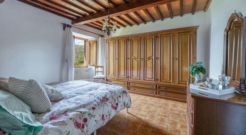 Photo of Chestnut Woods