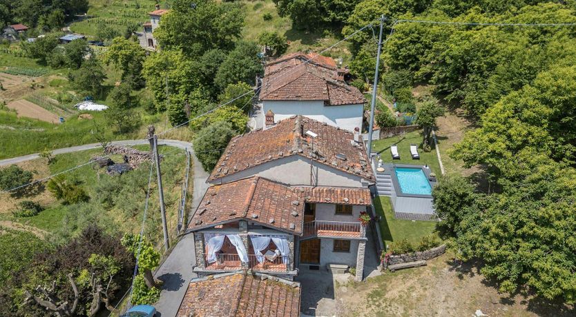 Photo of Chestnut Woods