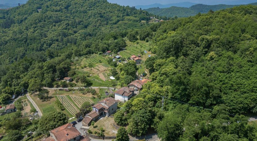 Photo of Chestnut Woods