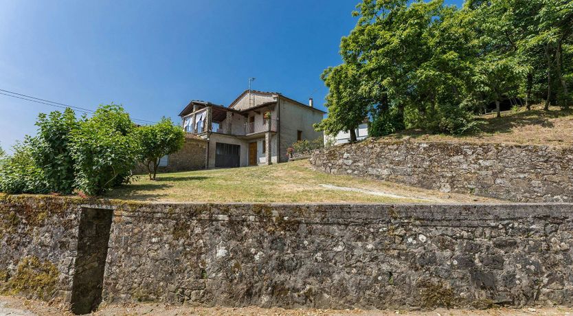 Photo of Chestnut Woods