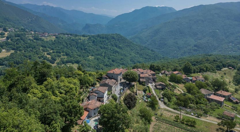 Photo of Chestnut Woods