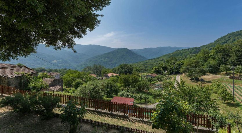 Photo of Chestnut Woods