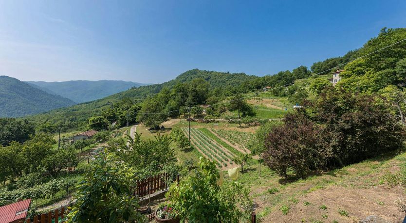 Photo of Chestnut Woods