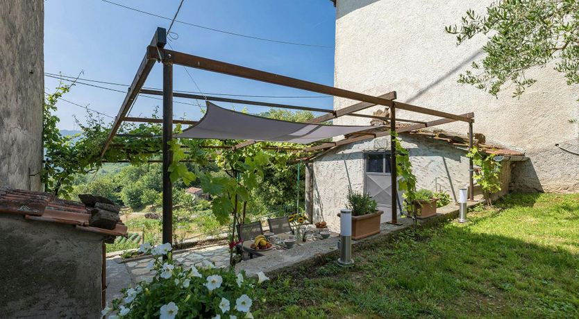 Photo of Chestnut Woods