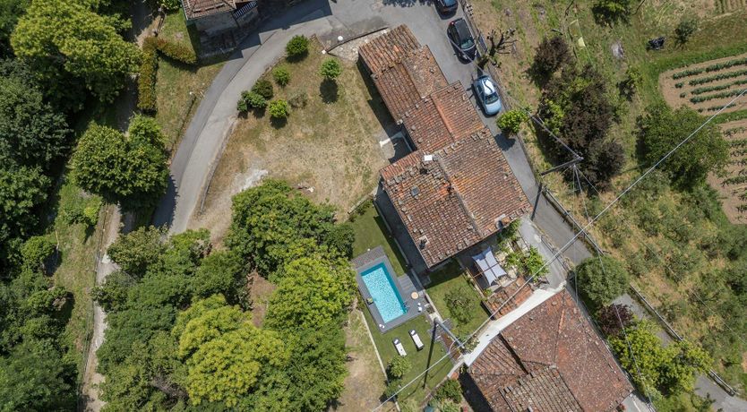 Photo of Chestnut Woods