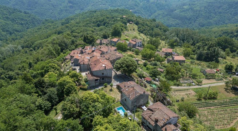 Photo of Chestnut Woods