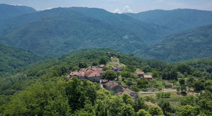 Photo of Chestnut Woods