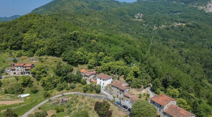 Photo of Chestnut Woods