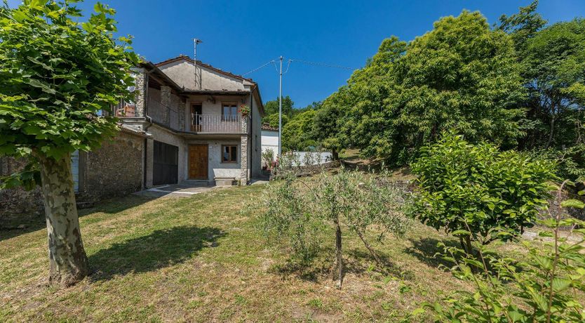 Photo of Chestnut Woods