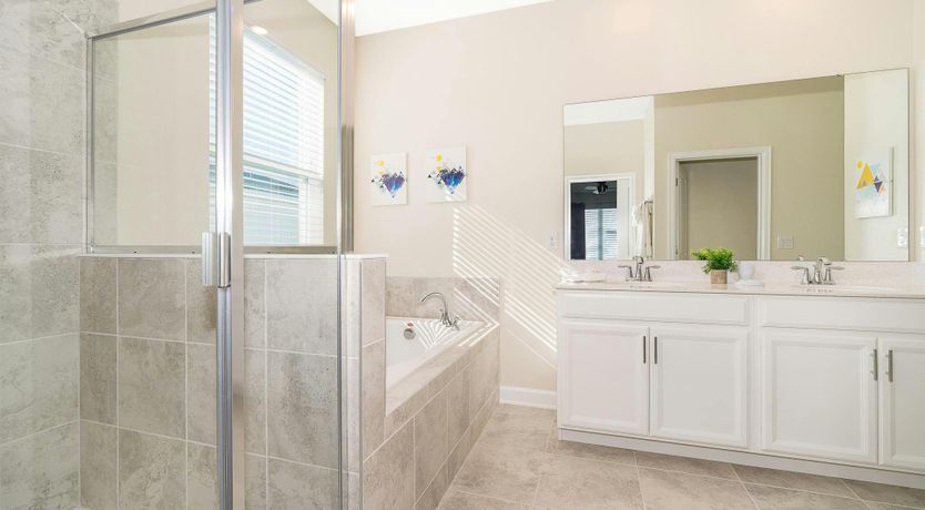 Photo of The Glimpse of Nature