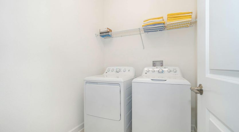 Photo of The Glimpse of Nature