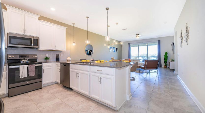 Photo of The Glimpse of Nature