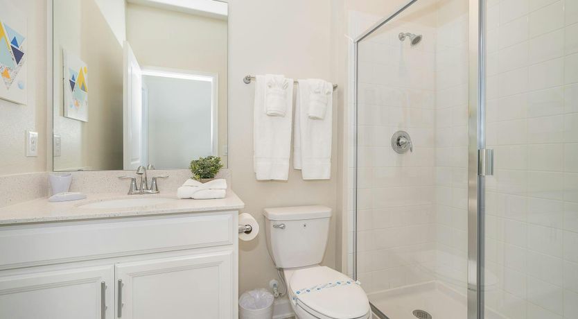 Photo of The Glimpse of Nature