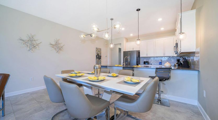 Photo of The Glimpse of Nature