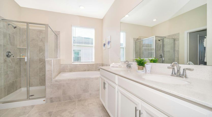 Photo of The Glimpse of Nature