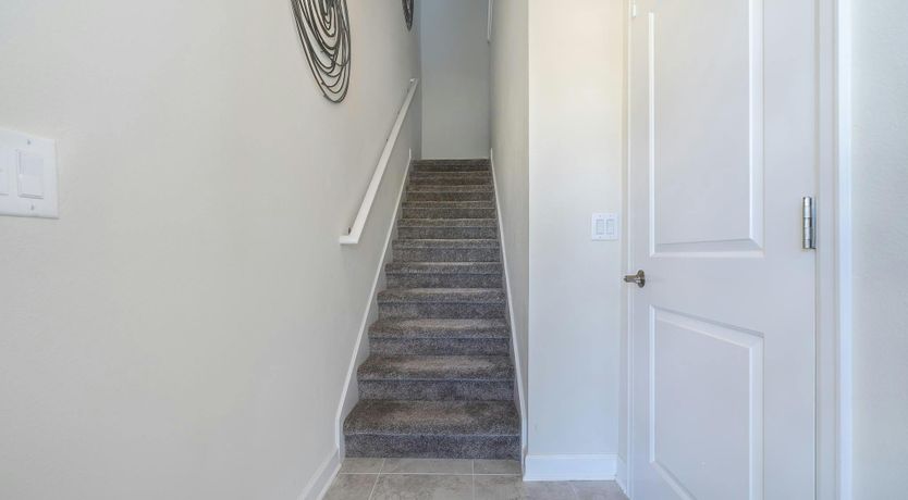 Photo of The Glimpse of Nature