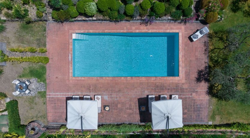 Photo of Old Vine's Jewel