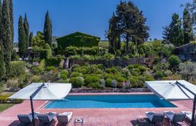 Photo of old-vines-jewel