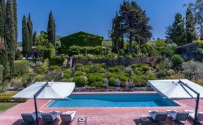 Photo of Old Vine's Jewel