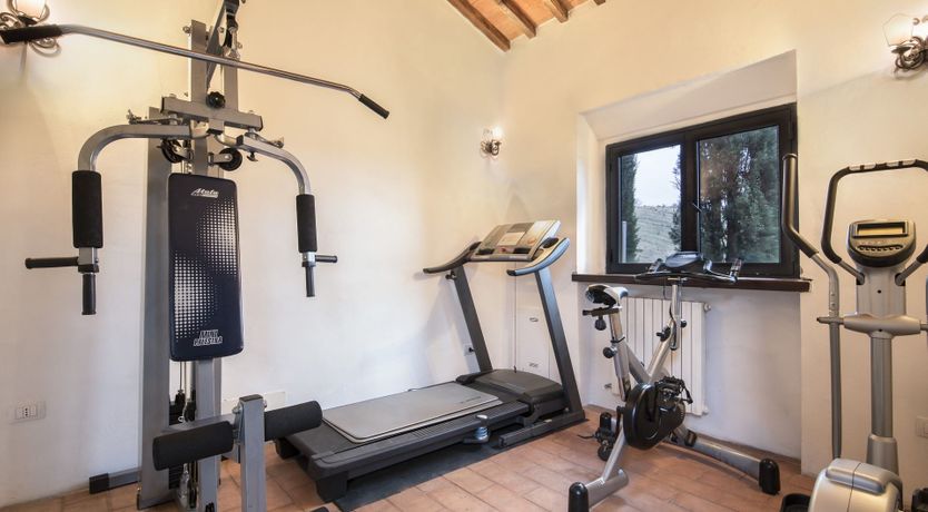 Photo of Old Vine's Jewel