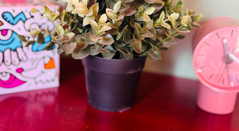 Photo of Georgias Gate