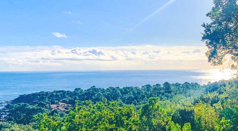 Photo of Casa Orsoni II