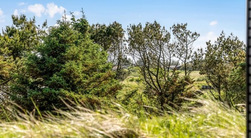 Photo of "Eriksine" - 750m from the sea