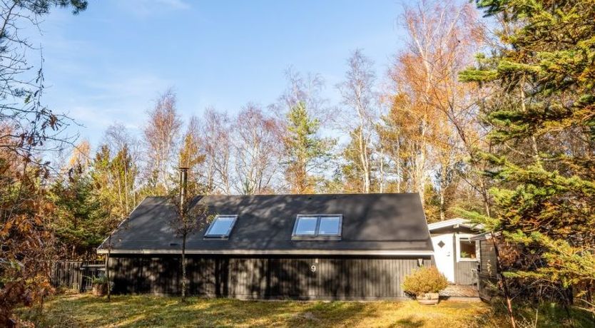 Photo of "Else" - 470m from the sea