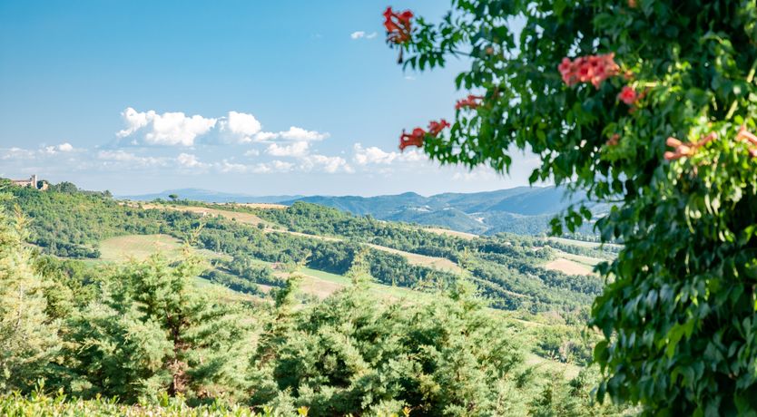 Photo of Umbertide Retreat