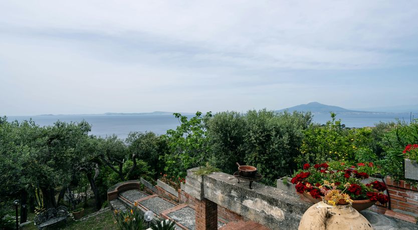 Photo of Peninsular Marvel