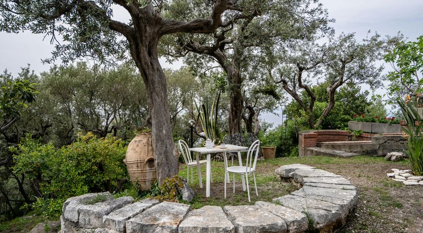 Photo of Peninsular Marvel