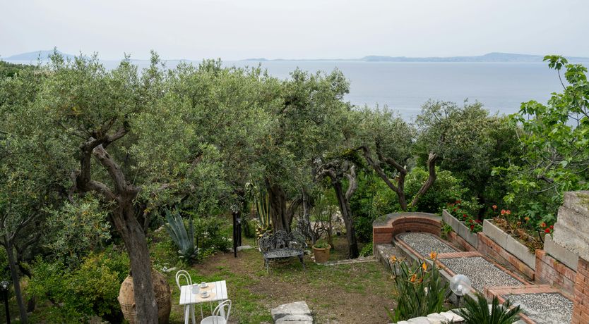 Photo of Peninsular Marvel