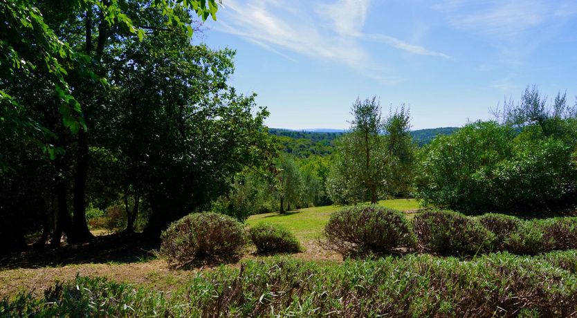 Photo of Charming Crimson Haven