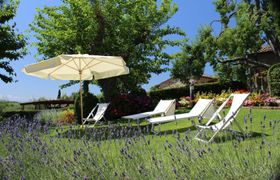 Photo of charming-crimson-haven