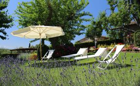 Photo of Charming Crimson Haven