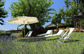 Charming Crimson Haven Holiday Home