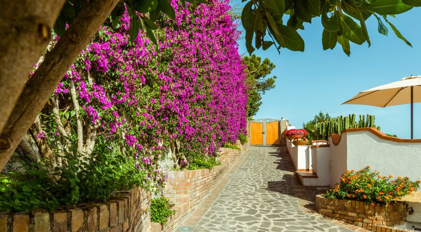 Photo of Vista Ischia