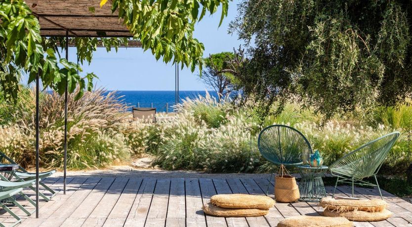 Photo of Sea Salt & Olive Trees