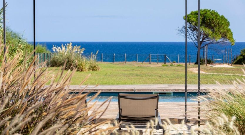 Photo of Sea Salt & Olive Trees