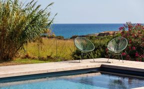 Photo of Sea Salt & Olive Trees