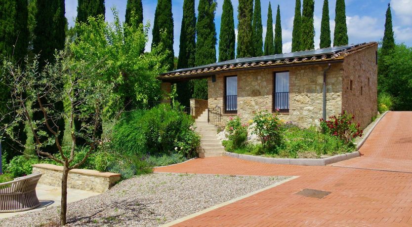 Photo of Grapes & Olives